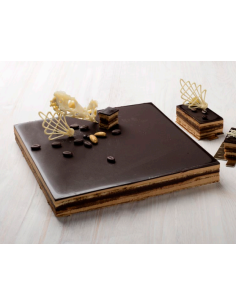 PLANCHA OPERA 34X27 2430gr