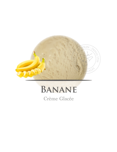 2,5 L - PLÁTANO - ANTOLIN