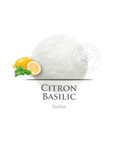 2,5 L - LIMON ALBAHACA - SORBETE ANTOLIN