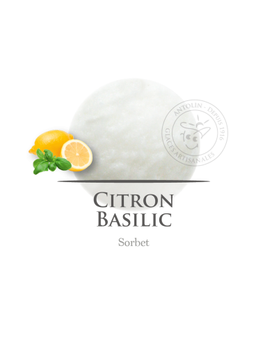 2,5 L - LIMON ALBAHACA - SORBETE ANTOLIN