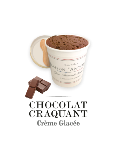 TARRINA CHOCOLATE - ANTOLIN 125ml