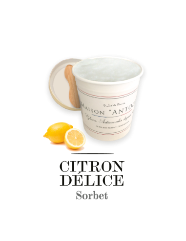 TARRINA LIMON SORBETE - ANTOLIN 125ml
