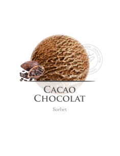 2,5 L - CHOCOLATE SORBETE VEGANO - ANTOLIN