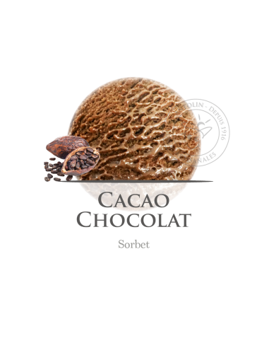 2,5 L - CHOCOLATE SORBETE VEGANO - ANTOLIN
