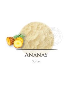 2,5 L - PIÑA SORBETE - ANTOLIN