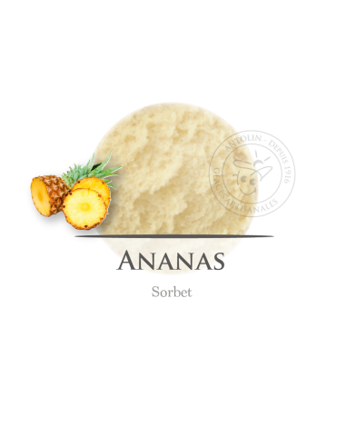 2,5 L - PIÑA SORBETE - ANTOLIN