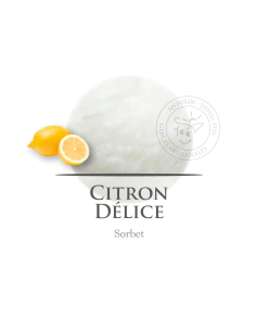 2,5 L - LIMÓN SORBETE - ANTOLIN