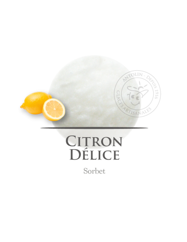 2,5 L - LIMÓN SORBETE - ANTOLIN