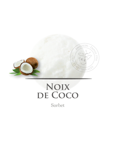 2,5 L - COCO SORBETE - ANTOLIN