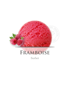 2,5 L - FRAMBUESA SORBETE - ANTOLIN