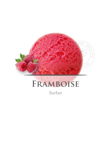 2,5 L - FRAMBUESA SORBETE - ANTOLIN