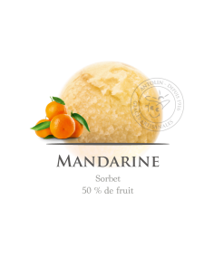 2,5 L - MANDARINA SORBETE - ANTOLIN