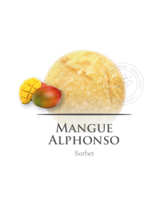 2,5 L - MANGO SORBETE - ANTOLIN