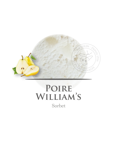 2,5 L - PERA SORBETE - ANTOLIN