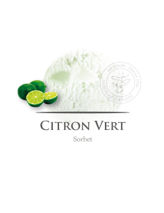2,5 L - LIMA SORBETE - ANTOLIN