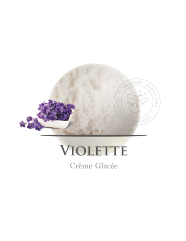 2,5 L - VIOLETA - ANTOLIN