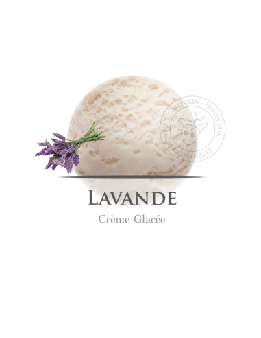 2,5 L - LAVANDA - ANTOLIN