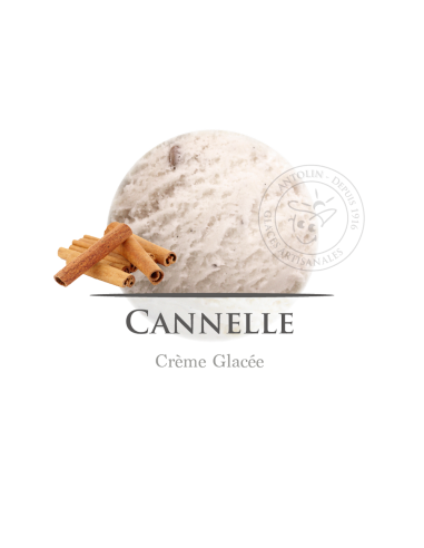 2,5 L - CANELA - ANTOLIN