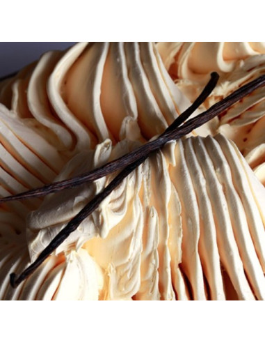 JOYPASTE VAINILIA MADAGASCAR IRCA - 1,2 kg