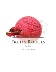 2,5 L - FRUTOS ROJOS SORBETE - ANTOLIN