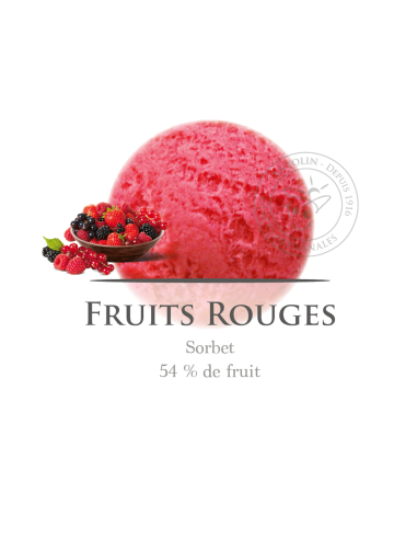 2,5 L - FRUTOS ROJOS SORBETE - ANTOLIN
