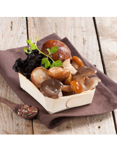 MEZCLA EXTRA SETAS DEL BOSQUE (x5) - 1kg