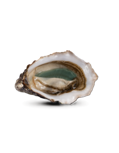 HUITRES SPECIALE DE CLAIRE VERTE - N3/24