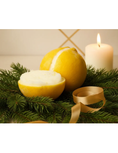 LIMÓN RELLENO SORBETE ARTESANAL