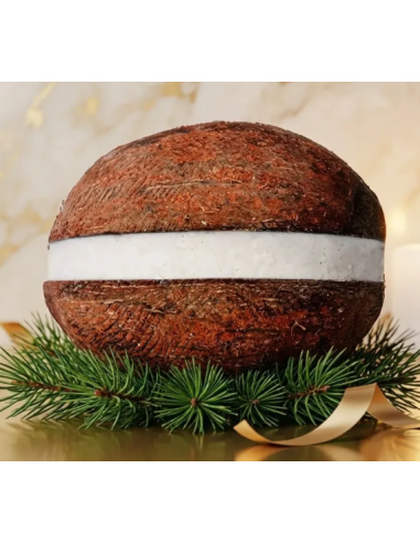 COCO RELLENO SORBETE PARA COMPARTIR