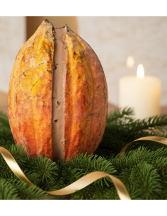 CACAO RELLENO SORBETE PARA COMPARTIR