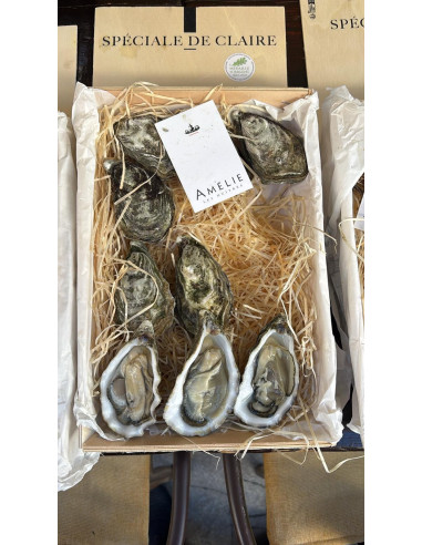 HUITRES SPECIALE DE CLAIRE - N2/12