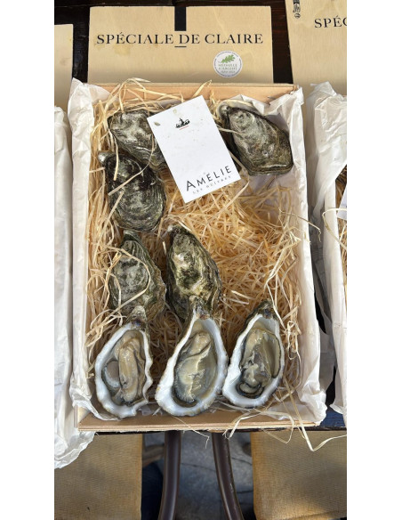 HUITRES SPECIALE DE CLAIRE - N2/12