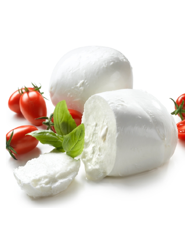 BOCCONCINI 500gr MOZZARELLA FIOR DI LATTE "CAST" - 3KG