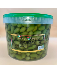 ACEITUNAS**VERDI CERIGNOLA C/NOCC. - 5kg 2