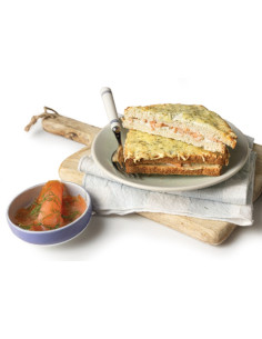 ARTI'CROC SALMON - 190gr MAYO