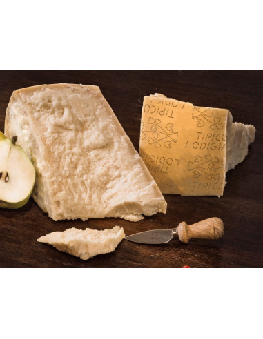 ZUCCHELLI FORMAGGIO LODIGIANO 1/8 (tipo parmegiano) - al kilo
