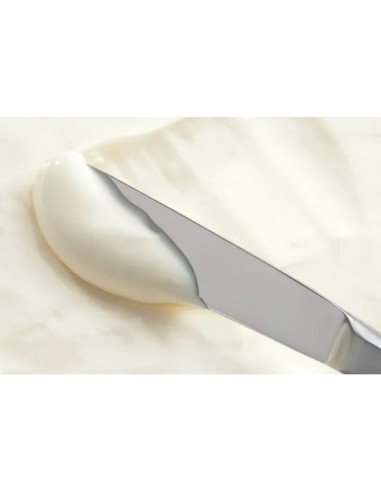 QUESO PARA UNTAR SPALMABILE ELDA - 1,5kg