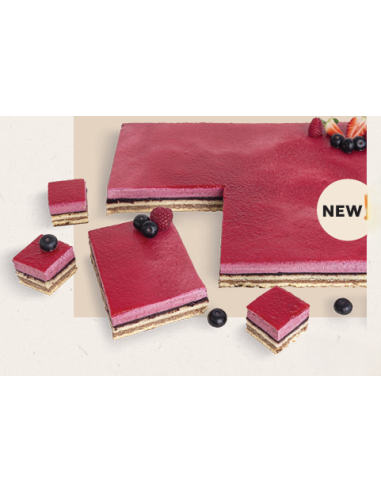 PLANCHA ARANDANOS CASSIS  Arti'Pat - 2120gr