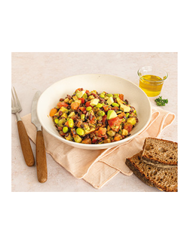 ENSALADA LATINA MAMBONITO - 1,25kg